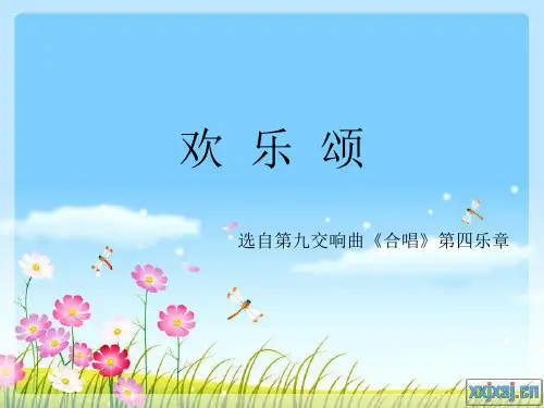 欢乐颂ppt