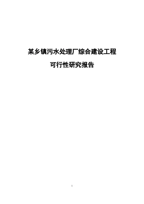 某乡镇污水处理厂综合建设工程可行性研究报告
