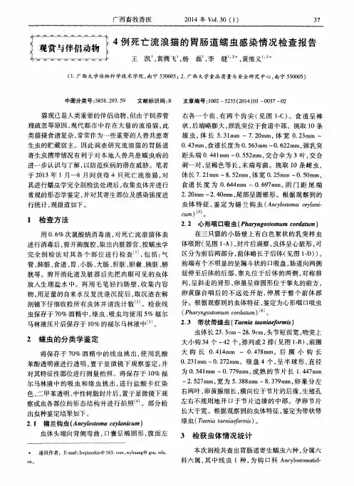 4例死亡流浪猫的胃肠道蠕虫感染情况检查报告