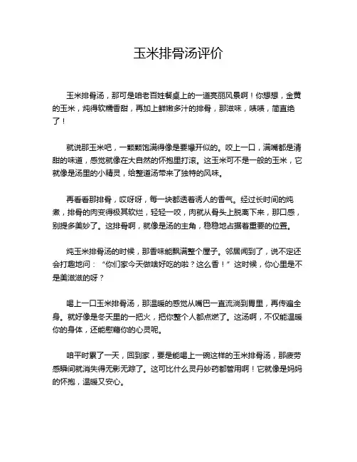 玉米排骨汤评价