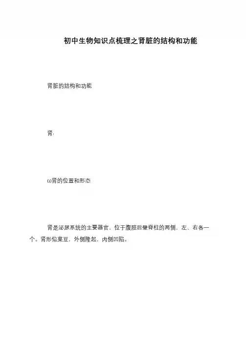 初中生物知识点梳理之肾脏的结构和功能