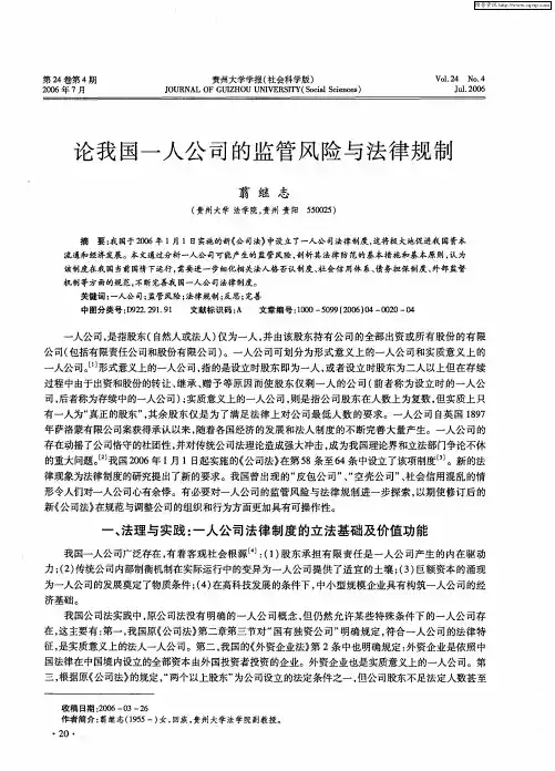 论我国一人公司的监管风险与法律规制