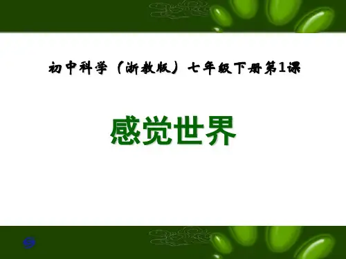 初中科学课件《感觉世界》优质精品课件1