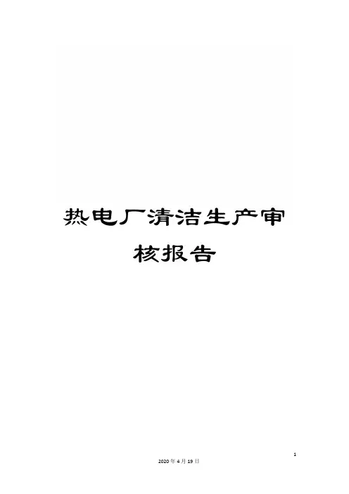 热电厂清洁生产审核报告