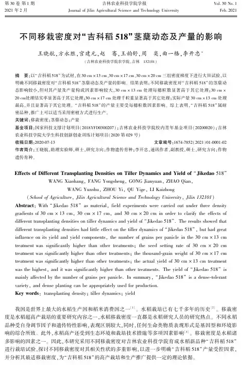 不同移栽密度对“吉科稻518”茎蘖动态及产量的影响