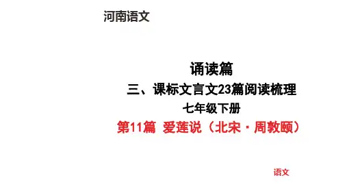 中考语文总复习七年级下册第11篇 爱莲说(北宋 周敦颐)文言文阅读梳理
