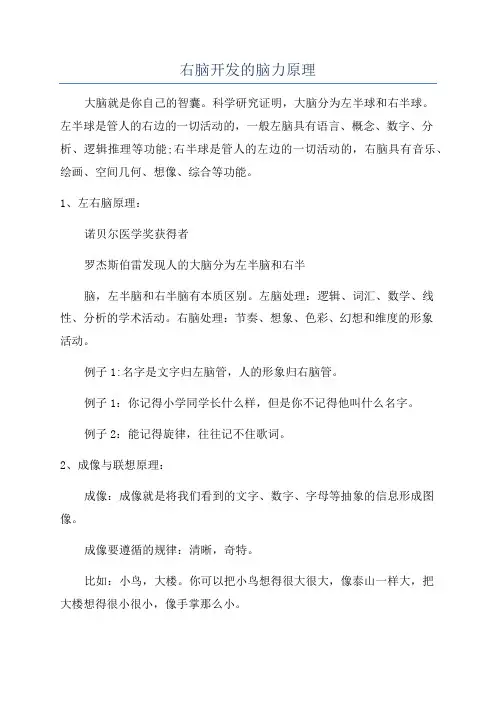 右脑开发的脑力原理