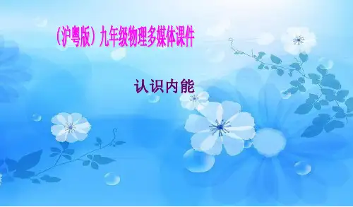 认识内能PPT教学课件