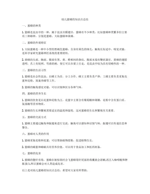 幼儿蜜蜂的知识点总结