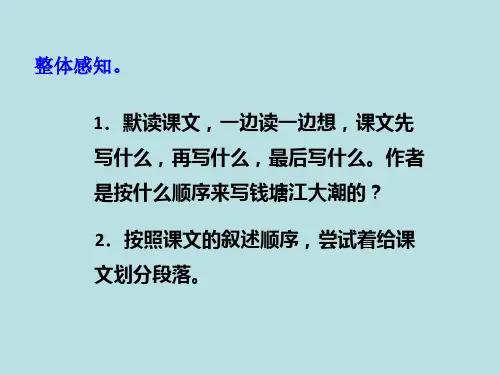 部编版观潮ppt完美版课件.ppt
