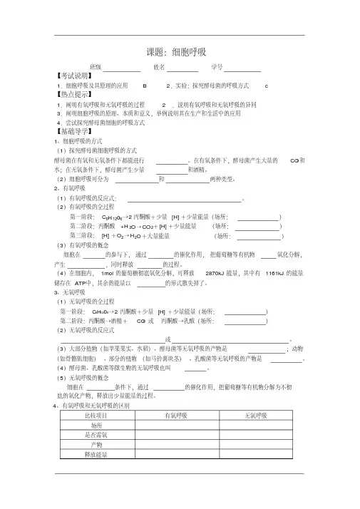一轮复习：细胞呼吸复习教案