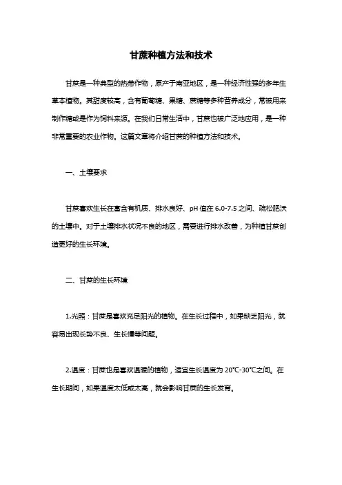 甘蔗种植方法和技术