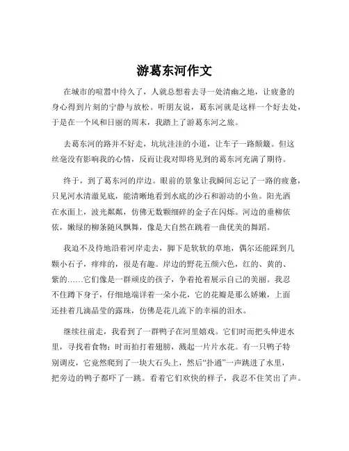 游葛东河作文