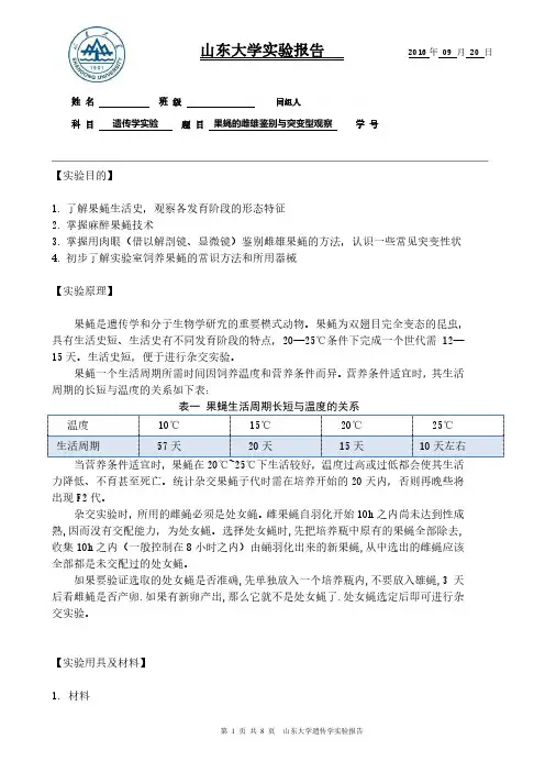 遗传实验报告 果蝇观察