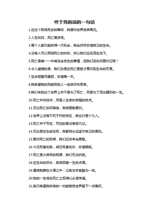 终于死前说的一句话-概述说明以及解释