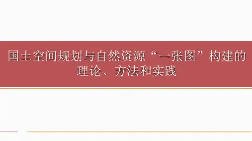 国土空间规划与自然资源“一张图”构建的理论方法和实践