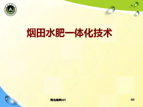 烟田水肥一体化ppt课件