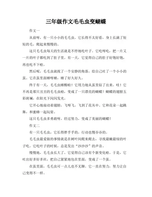 三年级作文毛毛虫变蝴蝶