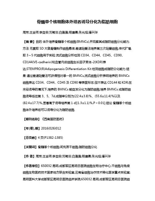 骨髓单个核细胞体外培养诱导分化为脂肪细胞