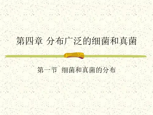 细菌与真菌的分布PPT教学课件