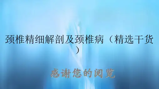 颈椎精细解剖及颈椎病(精选干货)