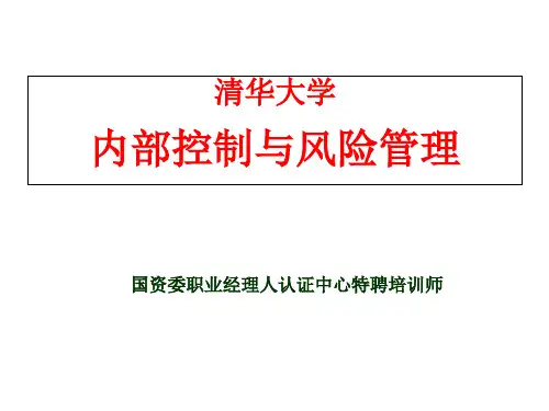 清华大学的内部控制和风险管理精品PPT课件