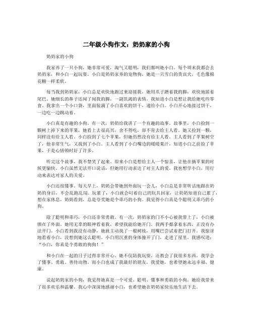 二年级小狗作文：奶奶家的小狗