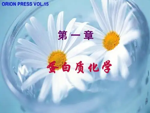 生物化学第一章蛋白质的结构与功能