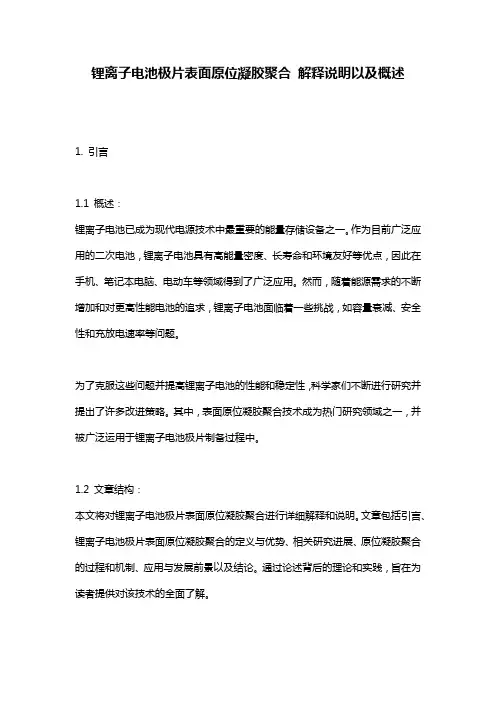锂离子电池极片表面原位凝胶聚合_解释说明以及概述