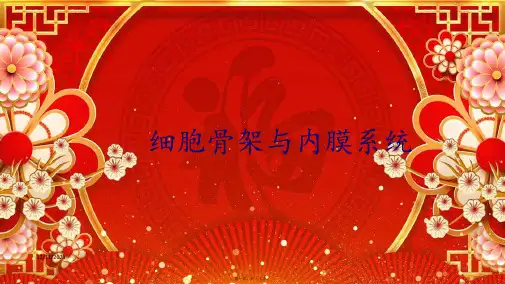高中生物 第二章 细胞的结构与功能 第四节 细胞骨架与内膜系统课件高一必修1生物课件