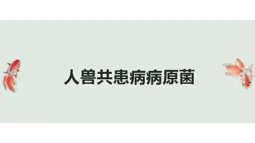 人兽共患病病原菌