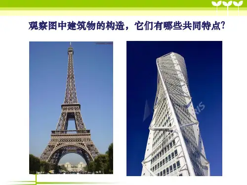 六年级下册科学《2 巧妙的结构》 冀人版