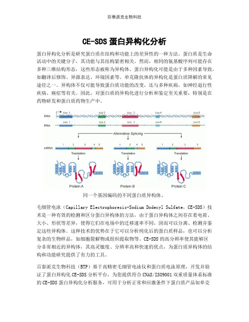 CE-SDS蛋白异构化分析