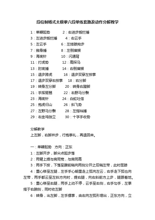 段位制杨式太极拳六段单练套路及动作分解教学