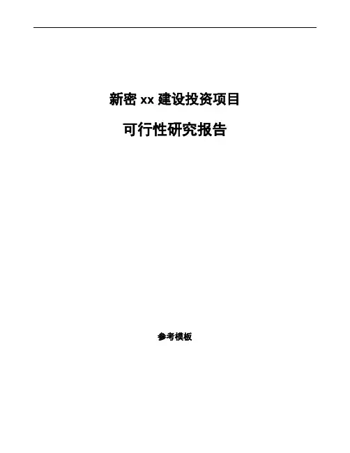 新密项目可行性研究报告通用