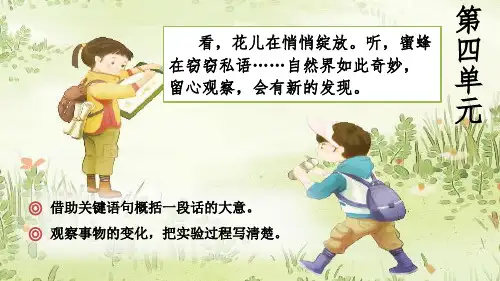 部编小学语文三年级下册 《13 花钟》PPT课件精品