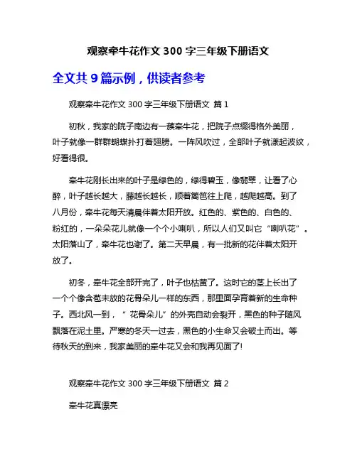 观察牵牛花作文300字三年级下册语文