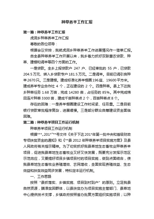 种草养羊工作汇报