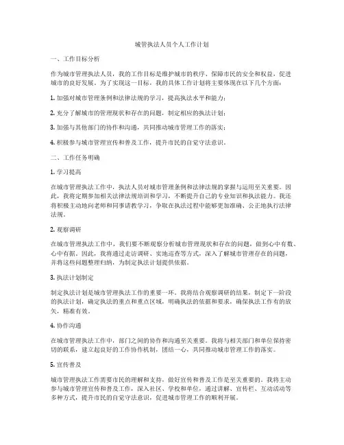 城管执法人员个人工作计划