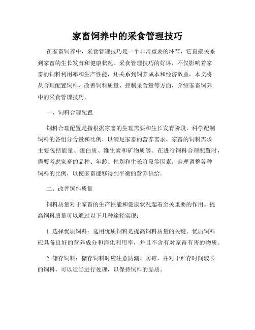 家畜饲养中的采食管理技巧