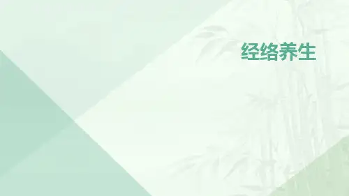 中医经络养生