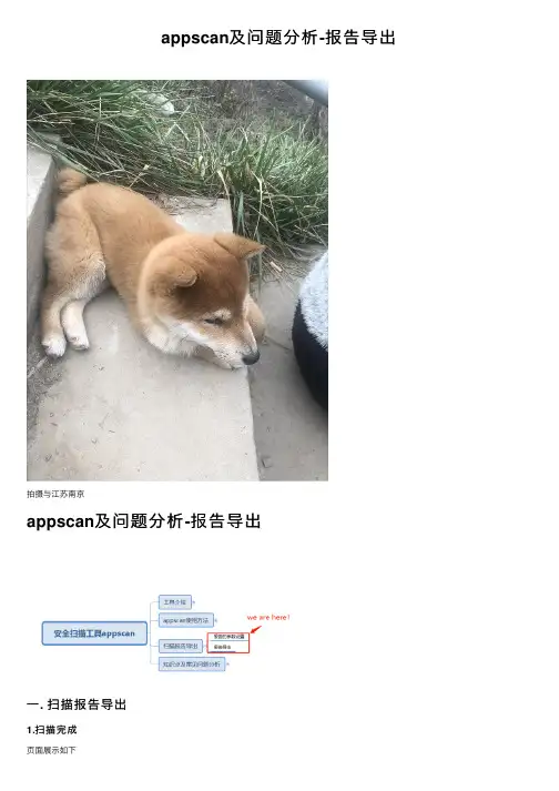 appscan及问题分析-报告导出