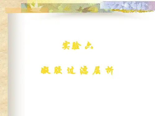 实验六凝胶过滤层析