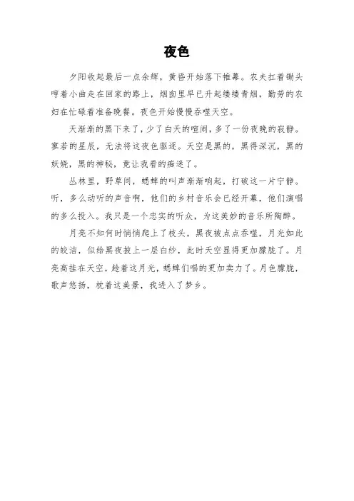 夜色_高中作文