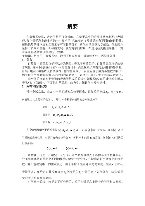 费米系统