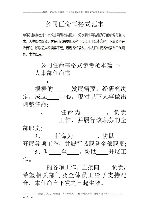公司任命书格式范本