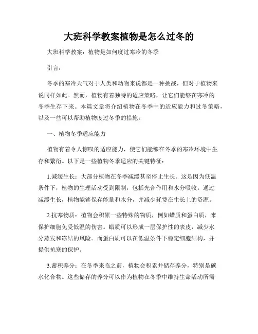 大班科学教案植物是怎么过冬的