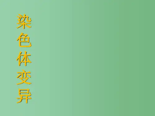 高中生物 第5章第2节《染色体变异》 新人教版必修2