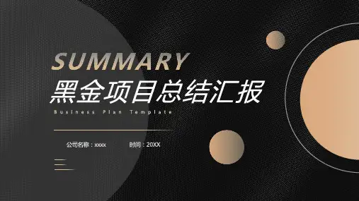 项目总结汇报(PPT模板)