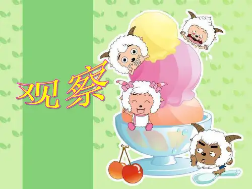 四年级上册语文作文课件 -观察(共21张PPT)-人教(部编版)